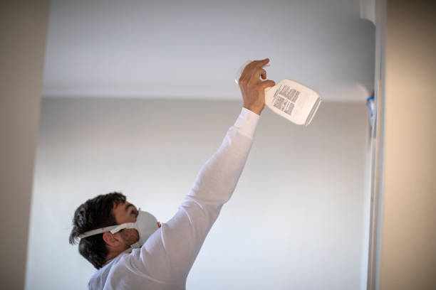 Best Same-Day Mold Removal  in Donaldsonville, LA