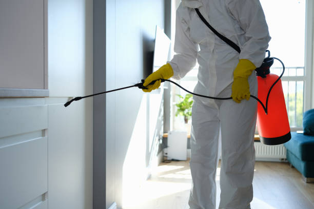 Best Mold Cleaning Services  in Donaldsonville, LA
