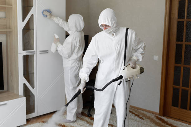 Best Toxic Mold Removal  in Donaldsonville, LA