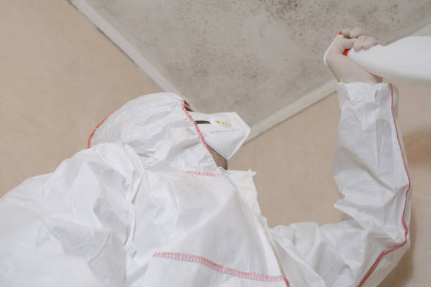 Best Commercial Mold Removal  in Donaldsonville, LA